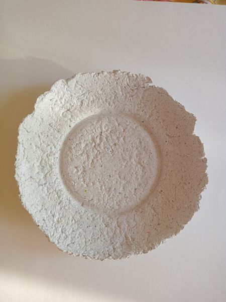 Plate made of recycled paper