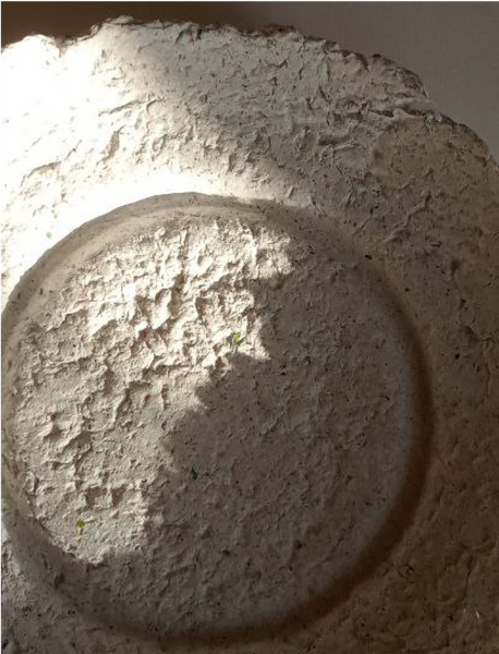 Plate made of recycled paper