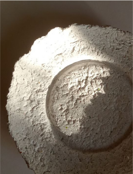 Plate made of recycled paper