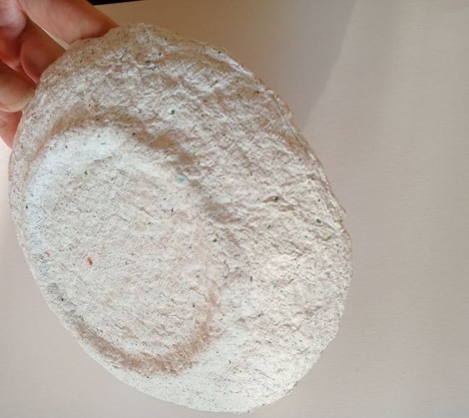 Plate made of recycled paper