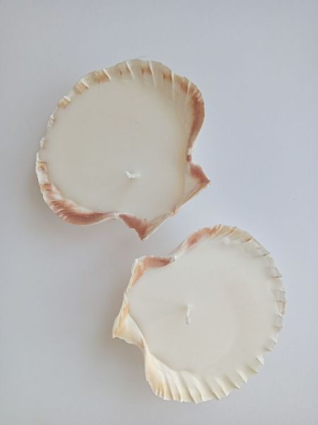 Candle in a scallop shell