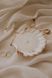 Candle in a scallop shell