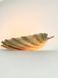 Candle in a scallop shell